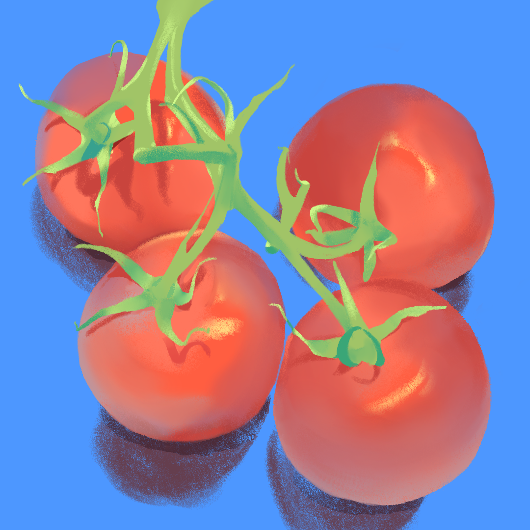 Drawing of tomatoes
